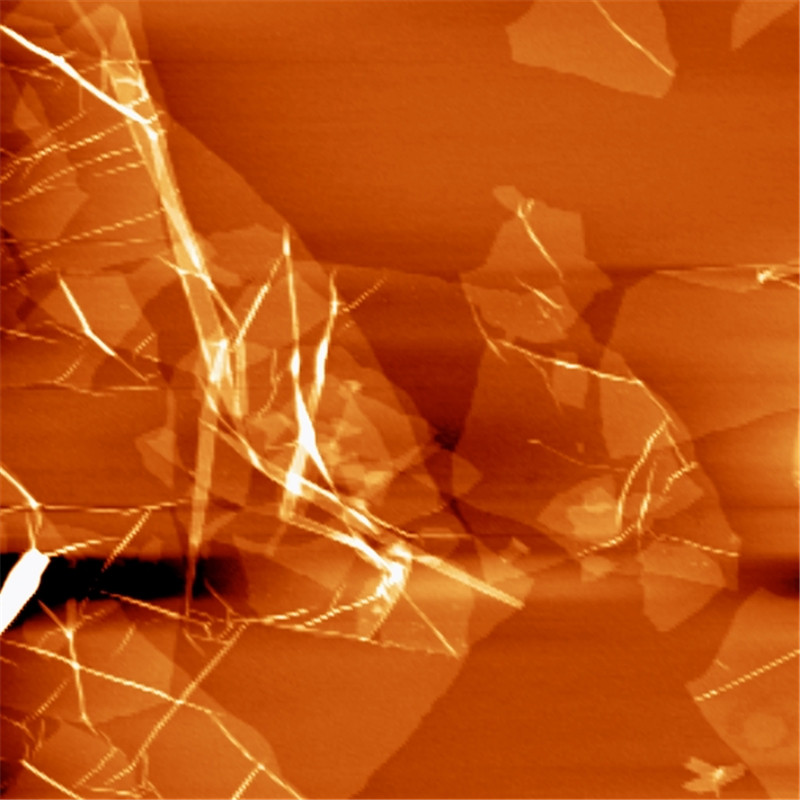 Atomic force microscope (AFM)